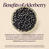 Nature's Way® | Sambucus Traditional Elderberry Immune Syrup Sku:15332