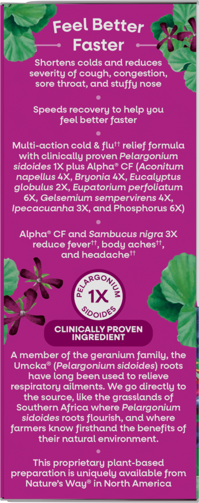 <{%MAIN9_15845%}>Nature's Way® | Umcka Cold & Flu Elderberry Syrup - left side of pack