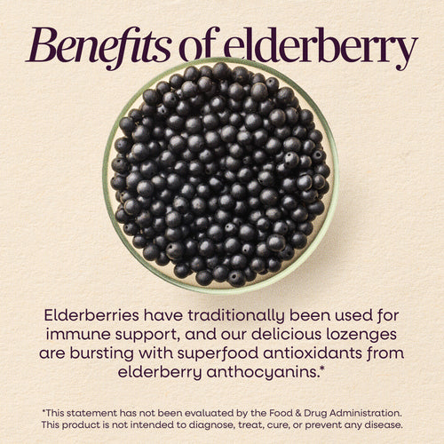 Nature's Way® | Sambucus Elderberry Immune Lozenge Sku:14001