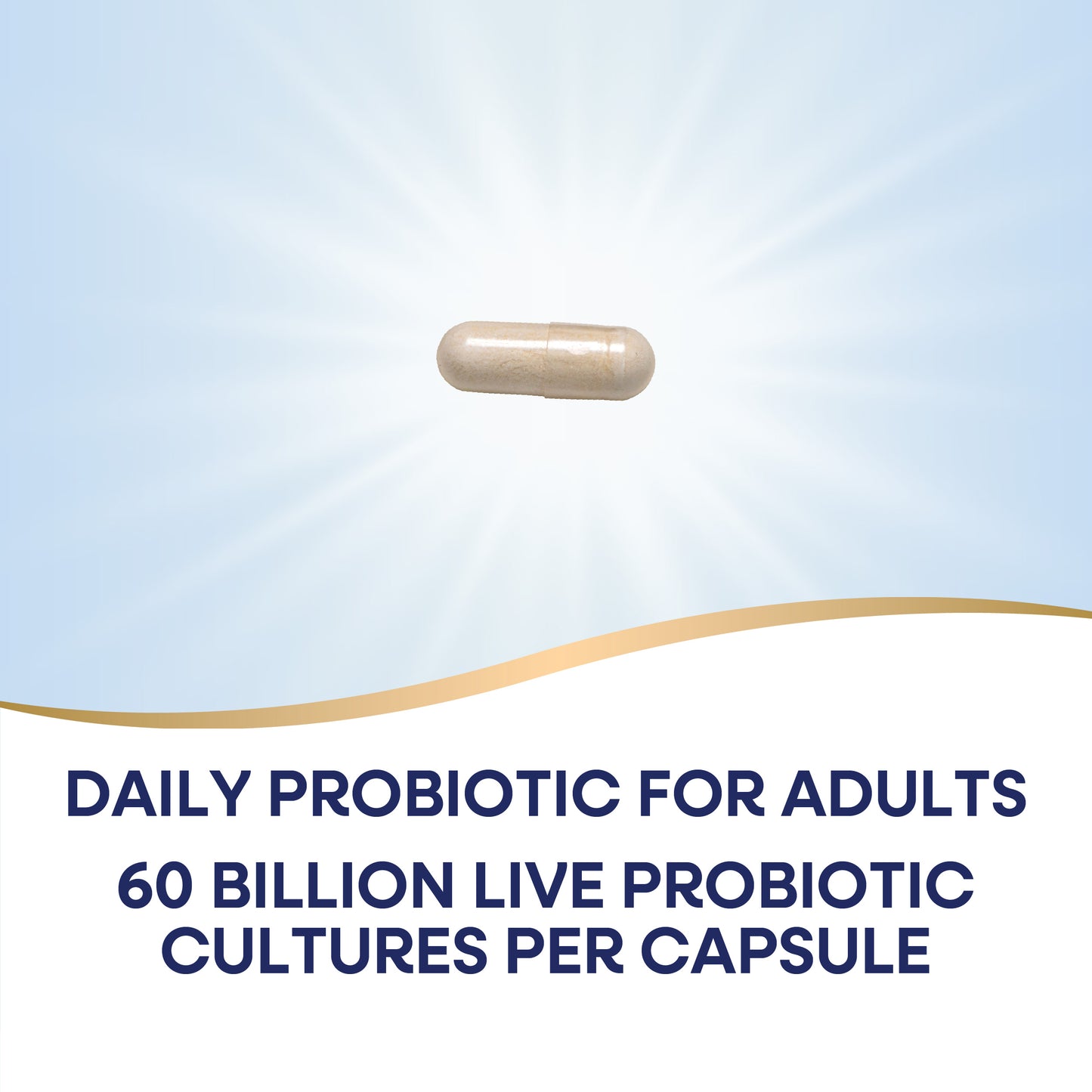 <{%MAIN2_15783%}>Nature's Way® | Fortify Optima Advanced Care 60 Billion Probiotic