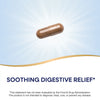 Nature's Way® | DGL Ultra Premium Extract Sku:12915