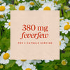 Nature's Way® | Feverfew Herb Sku:12808
