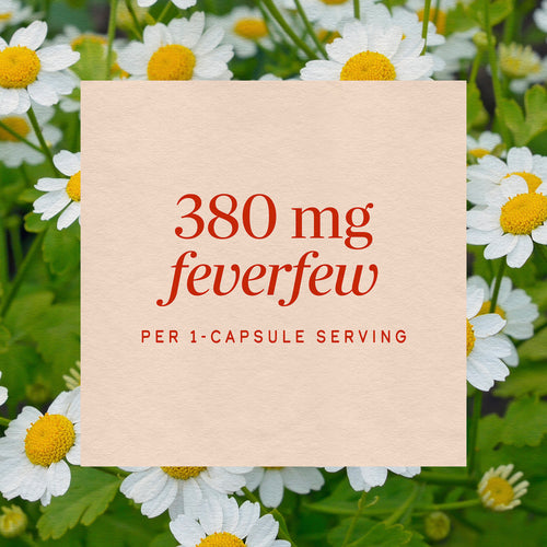 Nature's Way® | Feverfew Herb Sku:12850