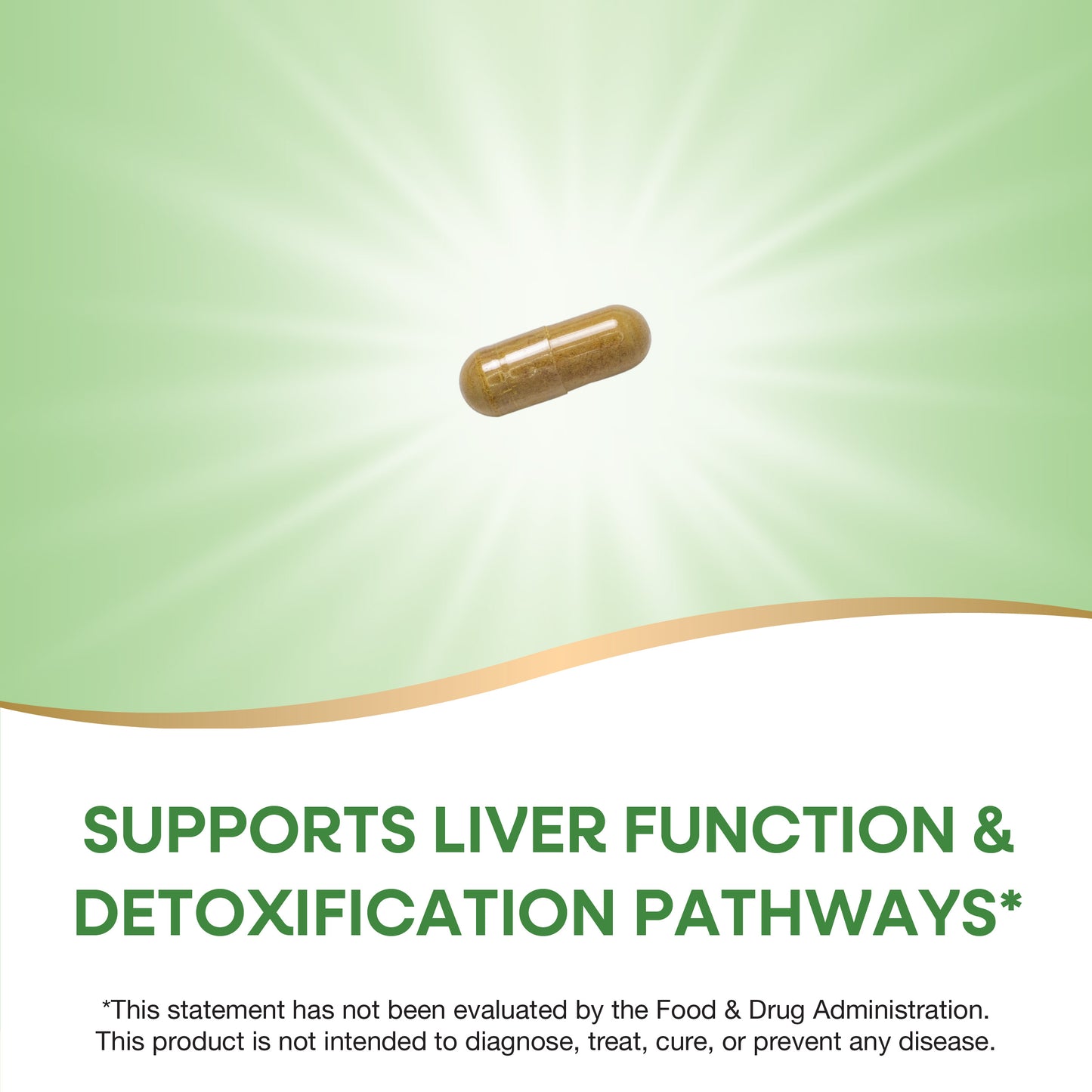 <{%MAIN9_15355%}>Nature's Way® | Milk Thistle