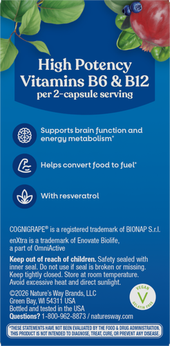 Nature's Way® | Alive! Cognitive - back of pack Sku:15934