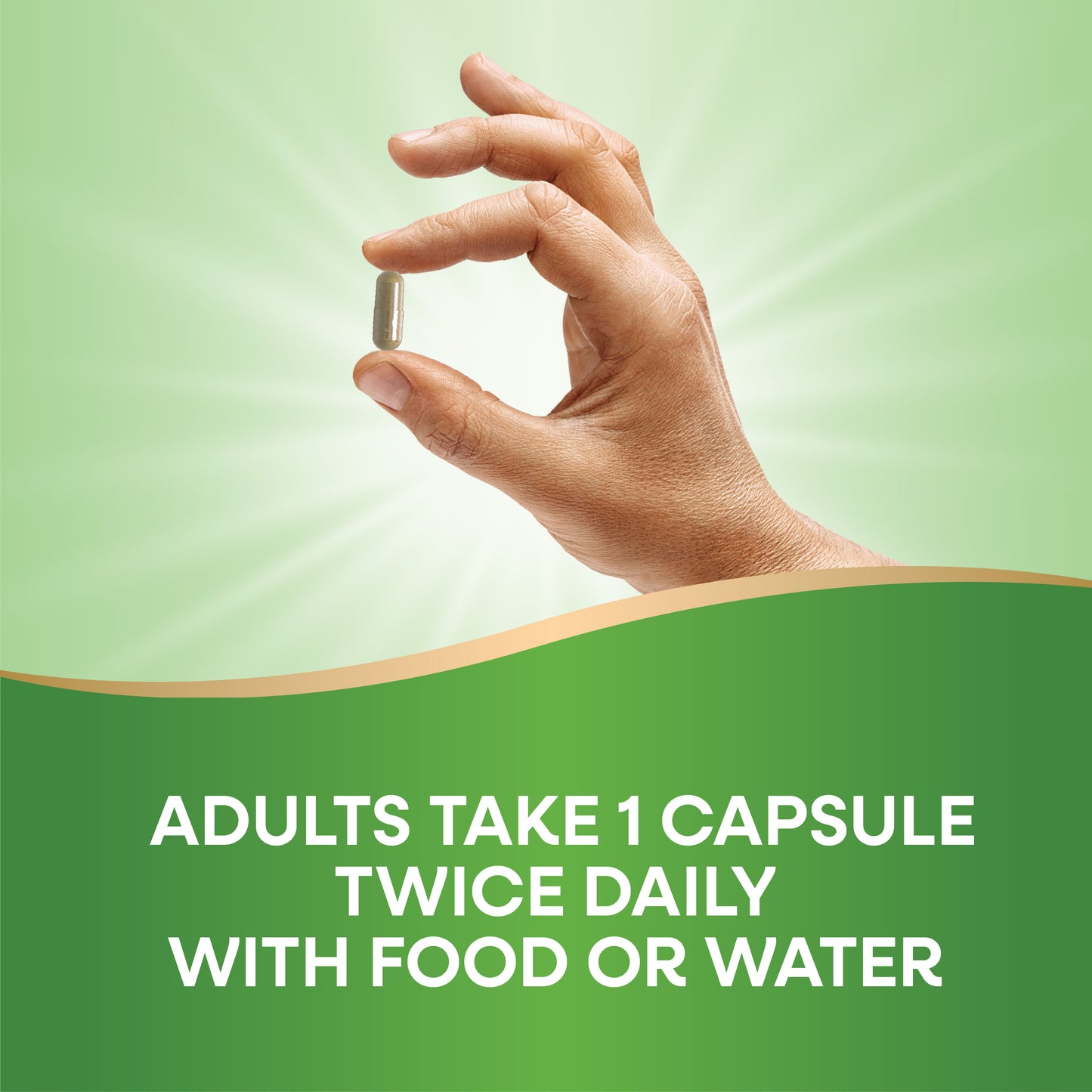 <{%DETAIL2_64000%}>Nature's Way® | Olive Leaf Standardized Extract