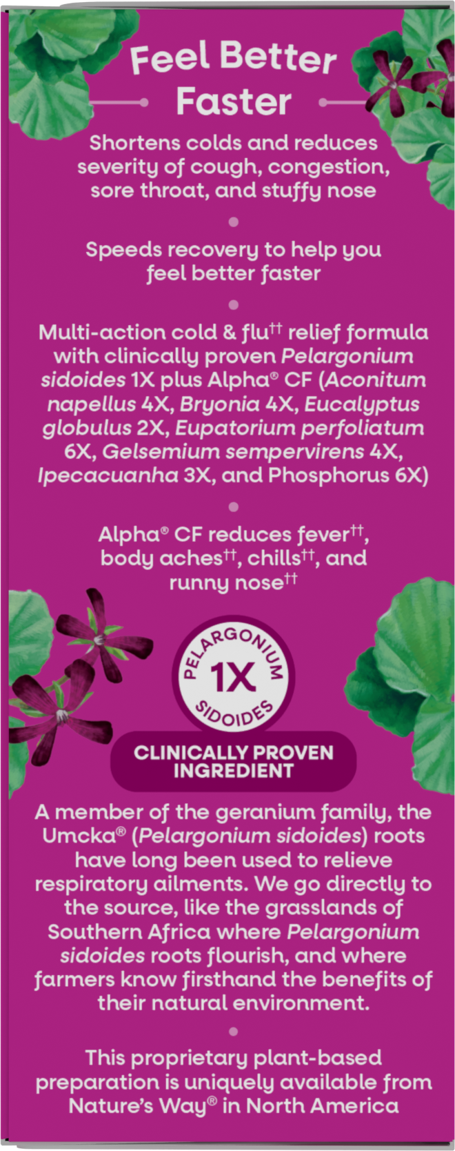 <{%360IMAGE3_15148%}>Nature's Way® | Umcka Cold & Flu Relief Syrup - left side of pack