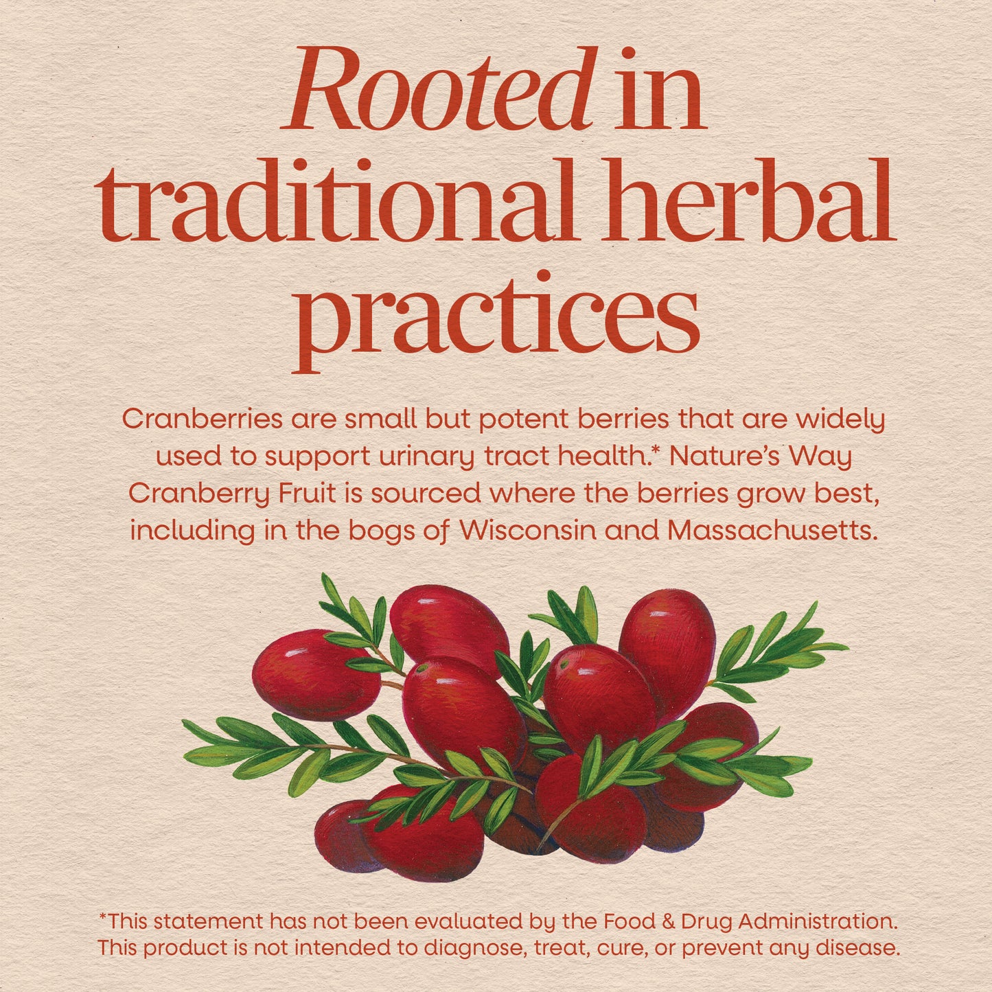 <{%MAIN2_12150%}>Nature's Way® | Cranberry Fruit