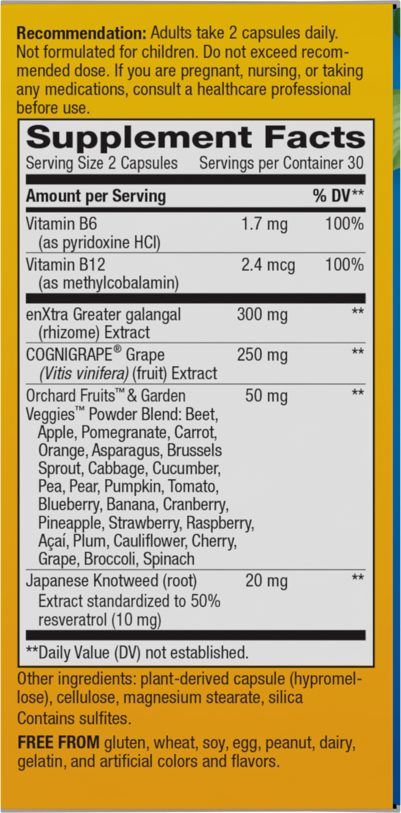 <{%360IMAGE1_15934%}>Nature's Way® | Alive! Cognitive - right side of pack