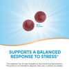 Nature's Way® | Ashwagandha Gummies Sku:13983