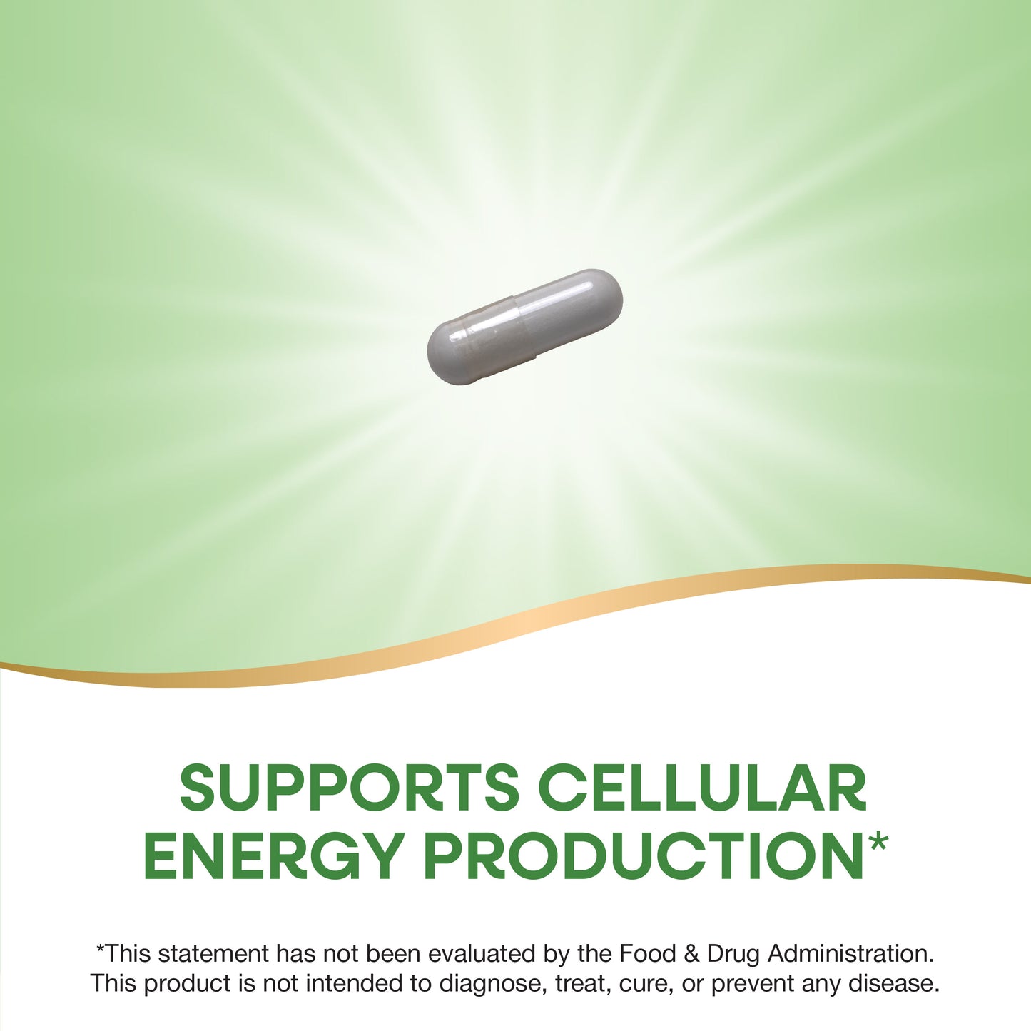 <{%MAIN2_40480%}>Nature's Way® | Niacinamide