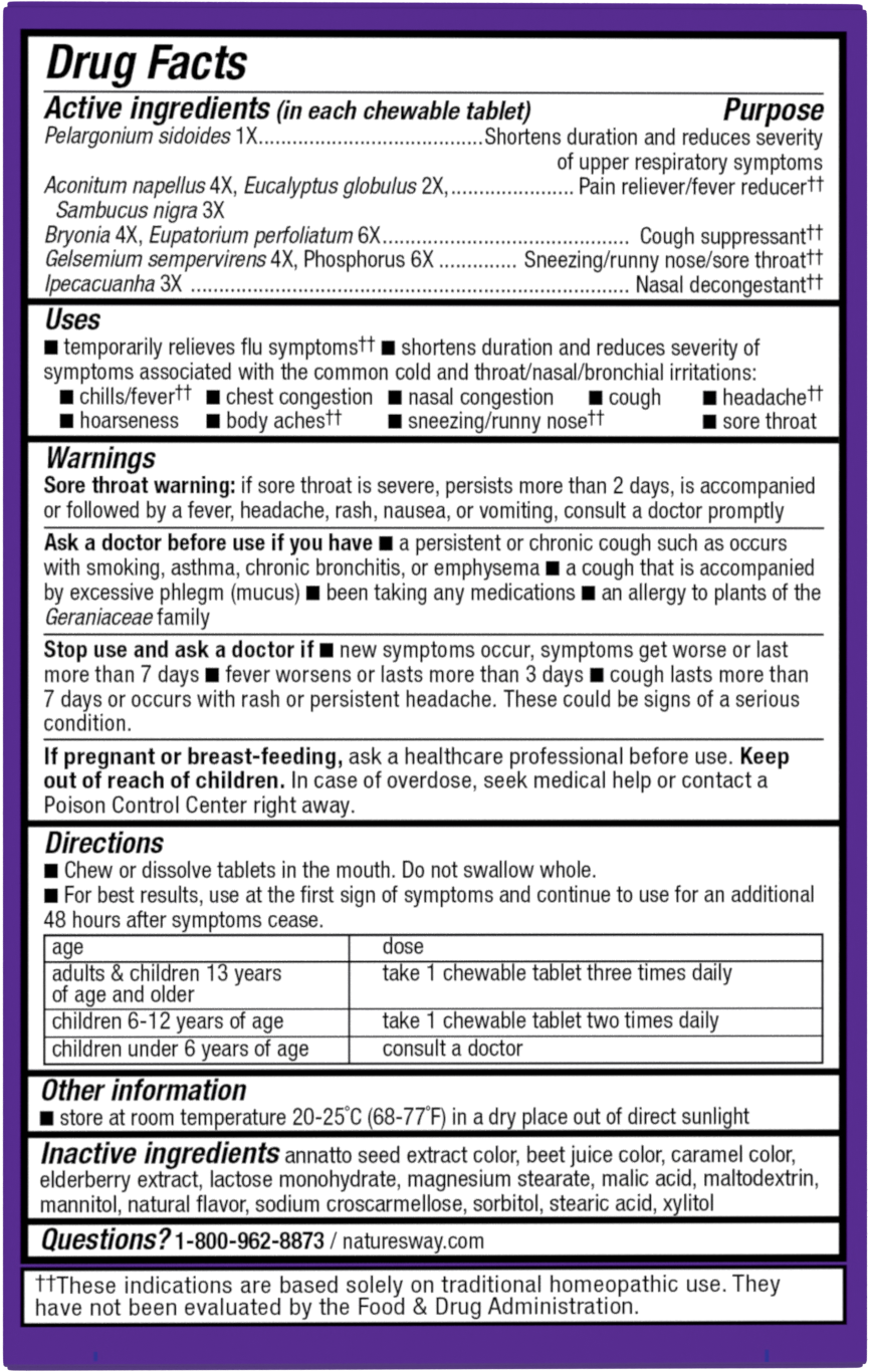 <{%360IMAGE1_15175%}>Nature's Way® | Sambucus Cold+Flu Relief Elderberry Chewables - back of pack