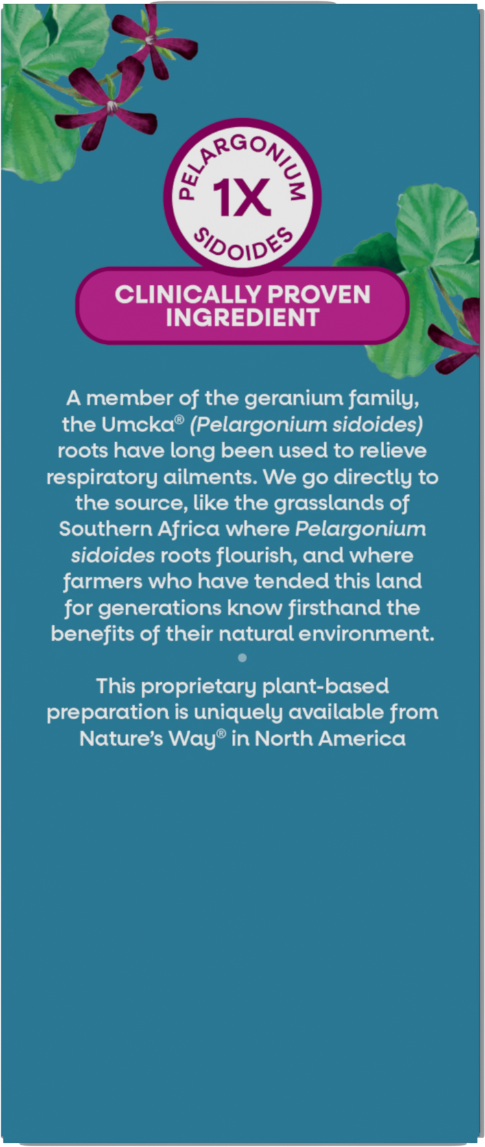 <{%360IMAGE8_15272%}>Nature's Way® | Umcka Cold Relief Syrup - back of pack