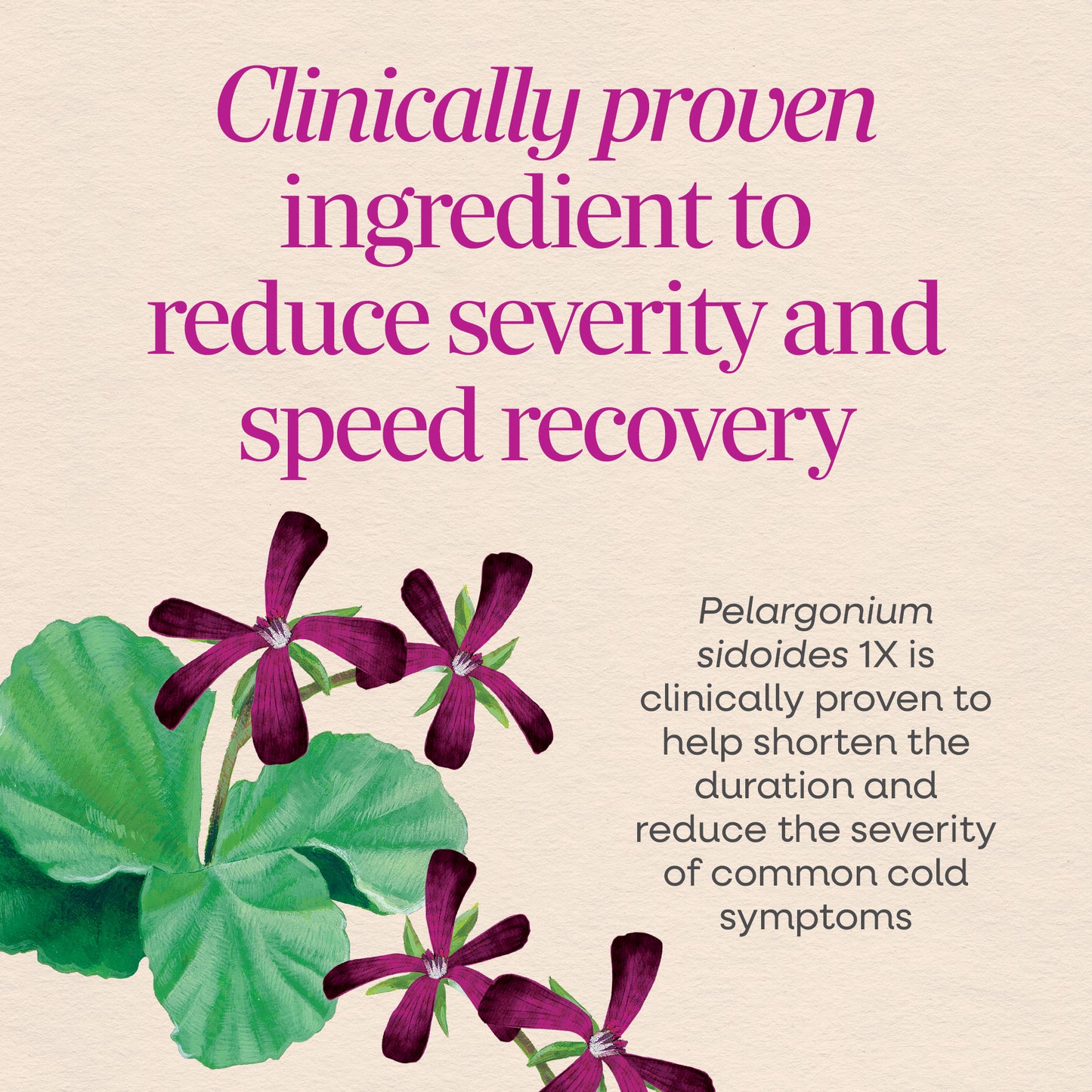 <{%MAIN3_15161%}>Nature's Way® | Umcka Cold & Flu Relief Chewables
