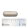Nature's Way® | Fortify Women's Daily Pre+Probiotic - Capsule and ruler Sku:10295