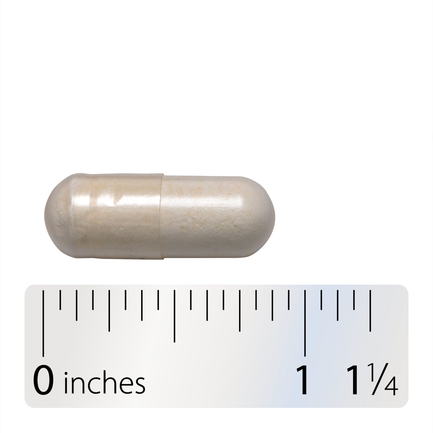 <{%360IMAGE4_10295%}>Nature's Way® | Fortify Women's Daily Pre+Probiotic - Capsule and ruler