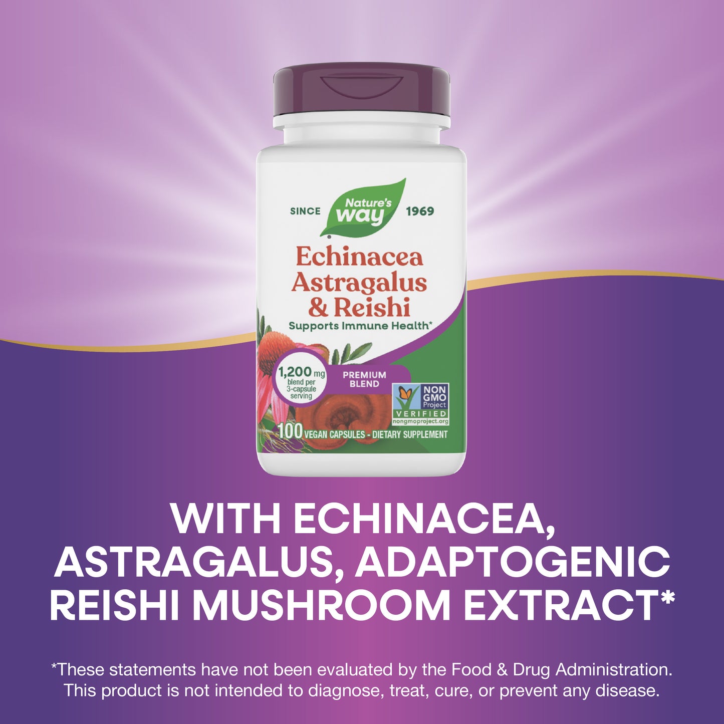 <{%MAIN3_413%}>Nature's Way® | Echinacea Astragalus & Reishi Premium Blend