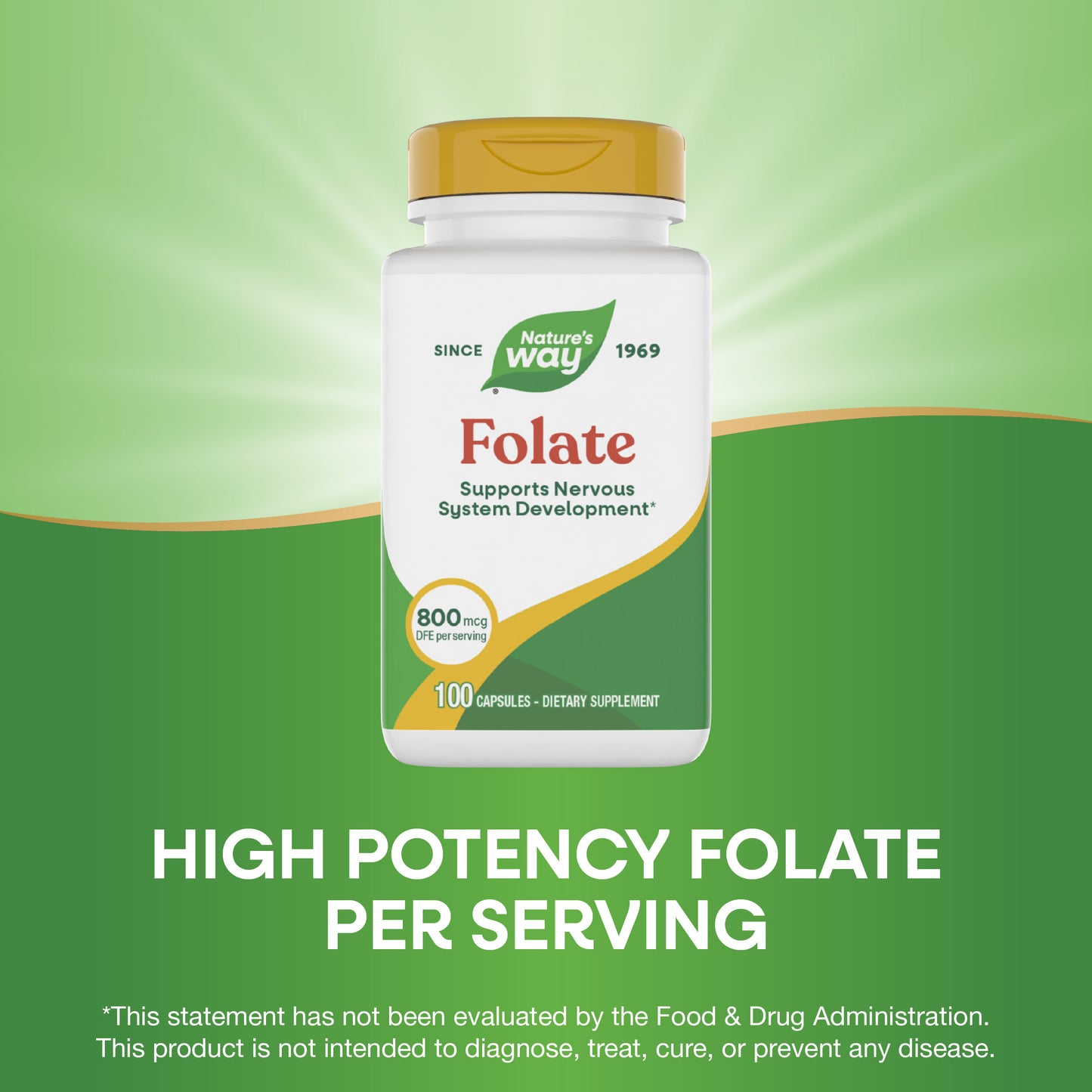 <{%MAIN3_40451%}>Nature's Way® | Folate