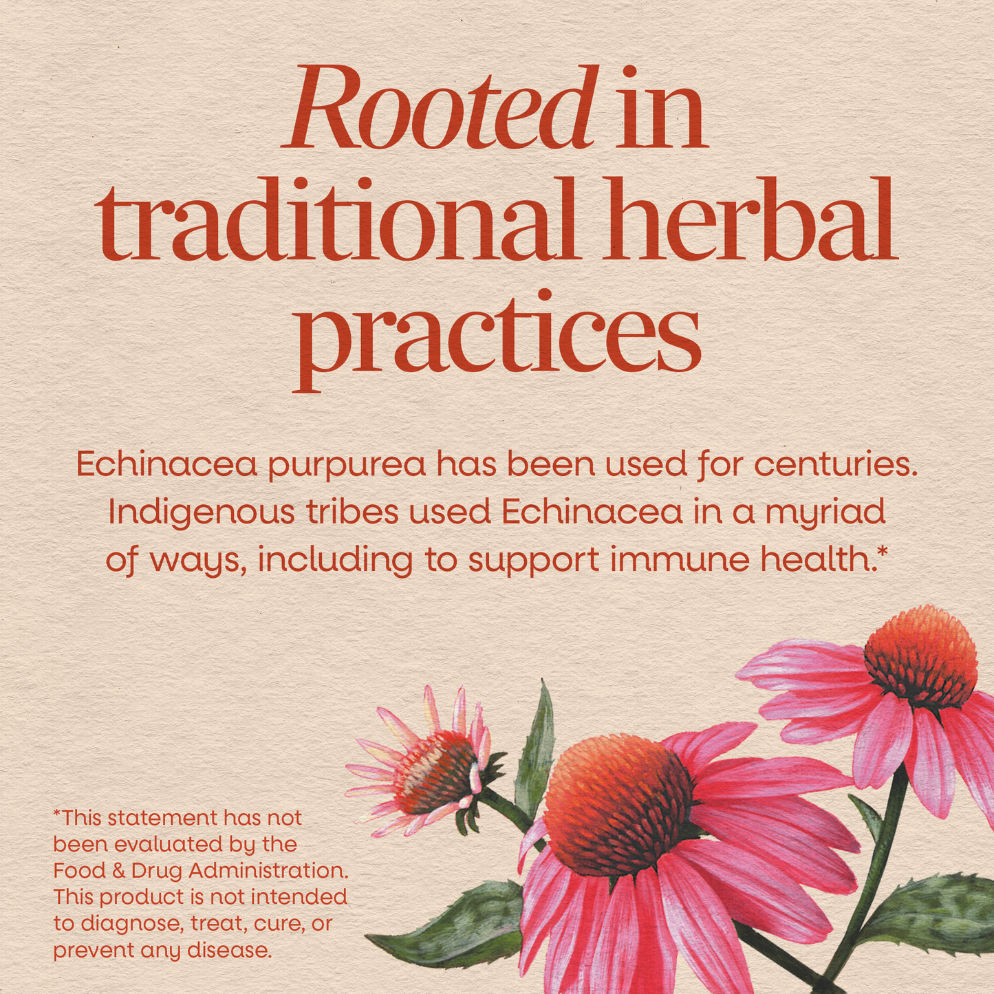 <{%MAIN9_12400%}>Nature's Way® | Echinacea