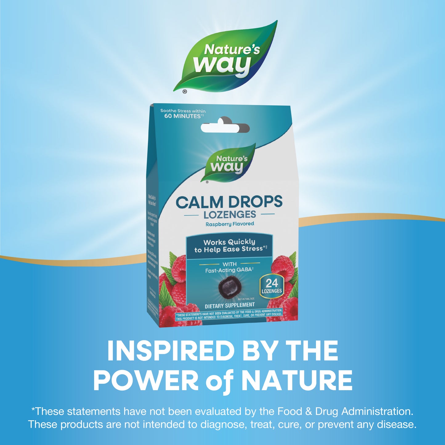 <{%MAIN9_14970%}>Nature's Way® | Calm Drops Lozenges