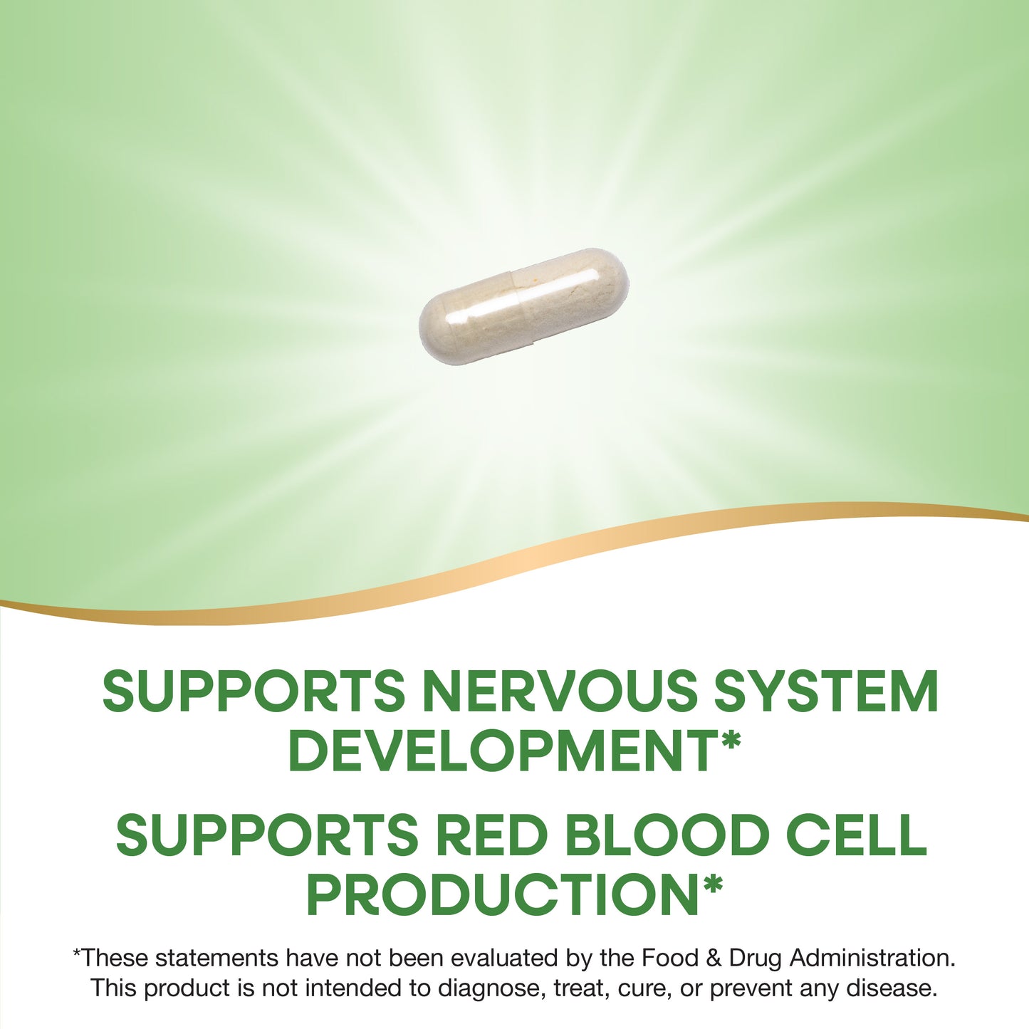 <{%MAIN2_40451%}>Nature's Way® | Folate