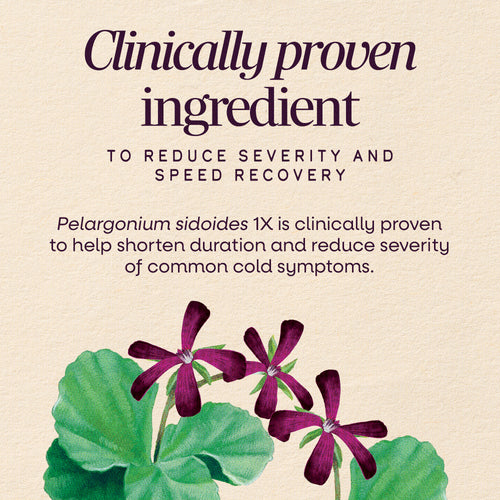 Nature's Way® | Sambucus Cold+Flu Relief Elderberry Chewables Sku:15175
