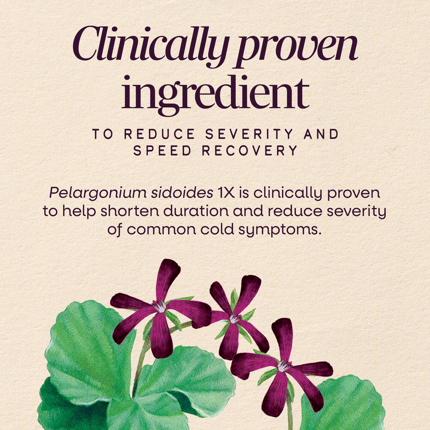 <{%MAIN3_15175%}>Nature's Way® | Sambucus Cold+Flu Relief Elderberry Chewables