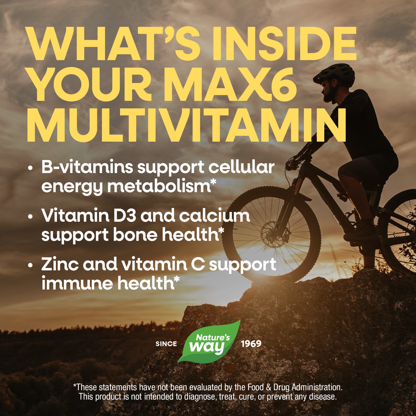 <{%MAIN4_15092%}>Nature's Way® | Alive! Max6 Potency Adult Complete Multivitamin-No Added Iron