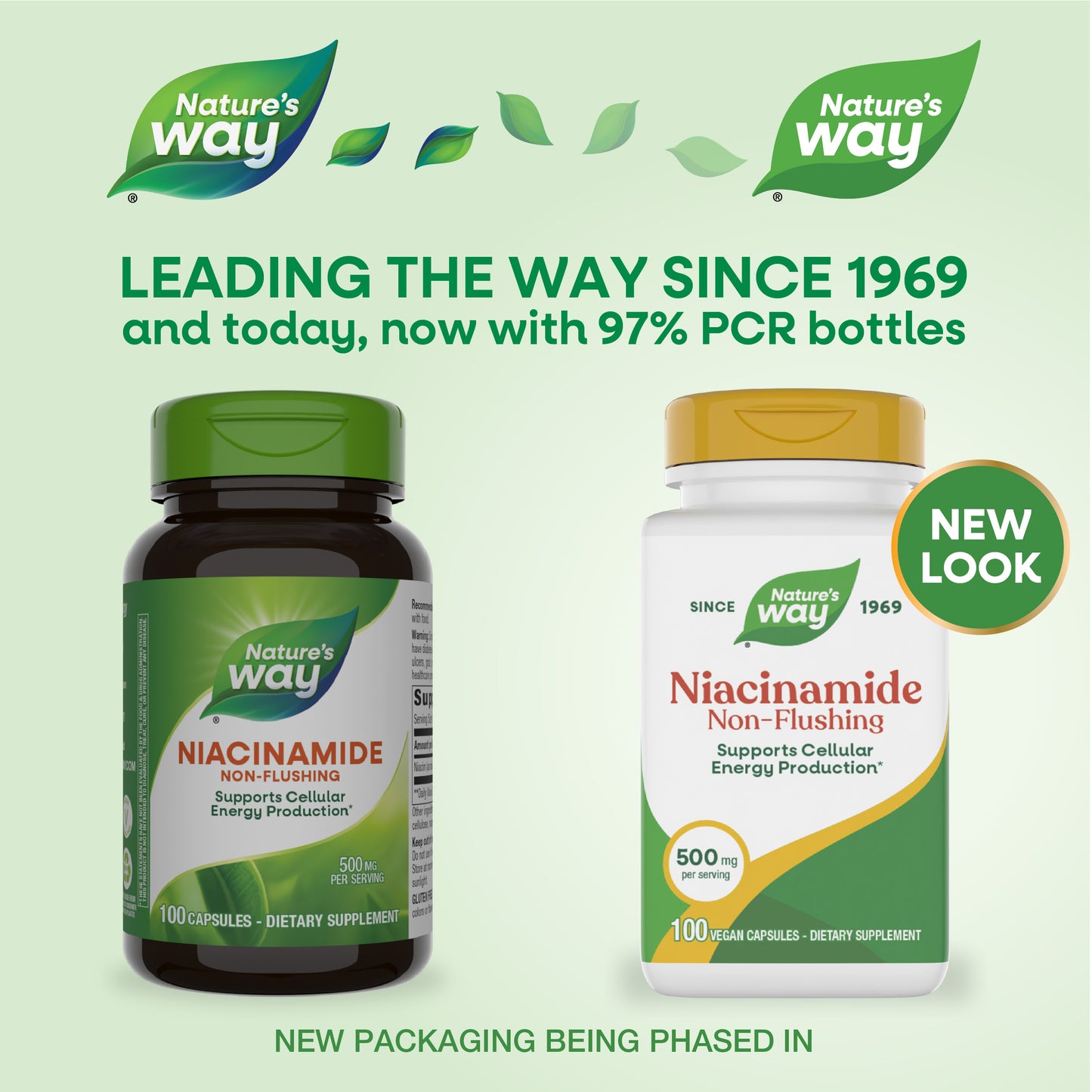 <{%MAIN1_40480%}>Nature's Way® | Niacinamide
