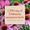 Nature's Way® | Echinacea Sku:12400