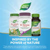 Nature's Way® | B-Stress Formula Sku:40631