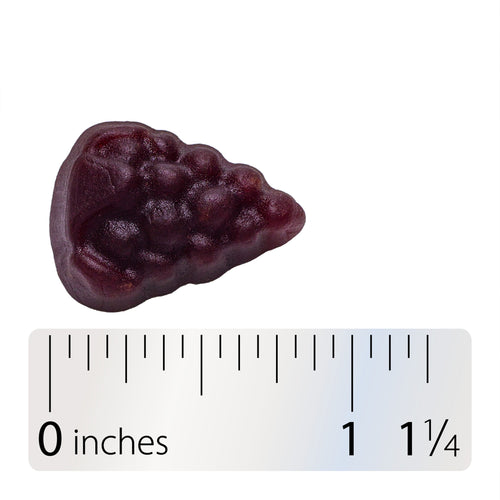 Nature's Way® | Sambucus Elderberry Immune Gummy - Gummy and ruler Sku:12345