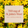 Nature's Way® | St. John's Wort Herb Sku:17300
