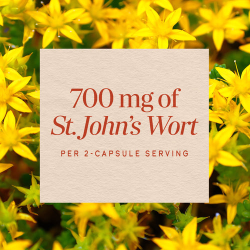 Nature's Way® | St. John's Wort Herb Sku:17300