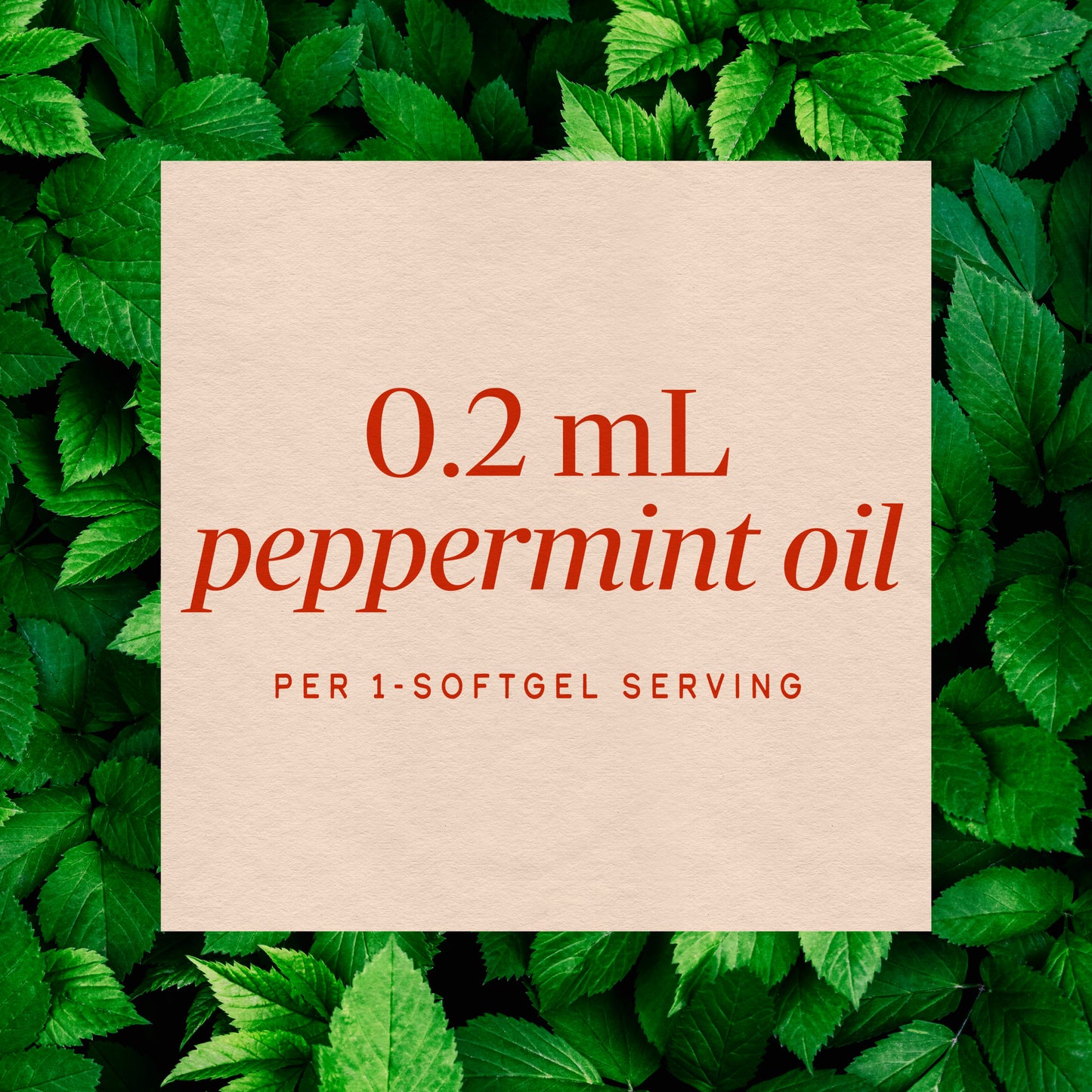 <{%MAIN3_14537%}>Nature's Way® | Pepogest® Peppermint Oil