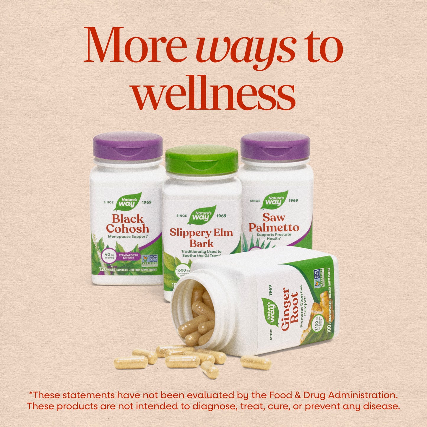 <{%MAIN13_15355%}>Nature's Way® | Milk Thistle