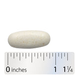 <{%360IMAGE4_05519%}>Nature's Way® | Cholesterol Shield - Tablet and ruler