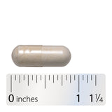 <{%360IMAGE4_10294%}>Nature's Way® | Fortify 30 Billion Daily Probiotic - Capsule and ruler