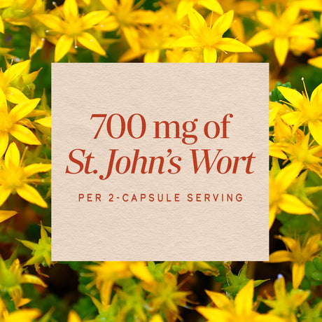 <{%MAIN10_17300%}>Nature's Way® | St. John's Wort Herb