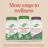 <{%MAIN19_11924%}>Nature's Way® | Fenugreek Seed
