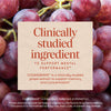 Nature's Way® | Brain Fuel Gummy Sku:14346