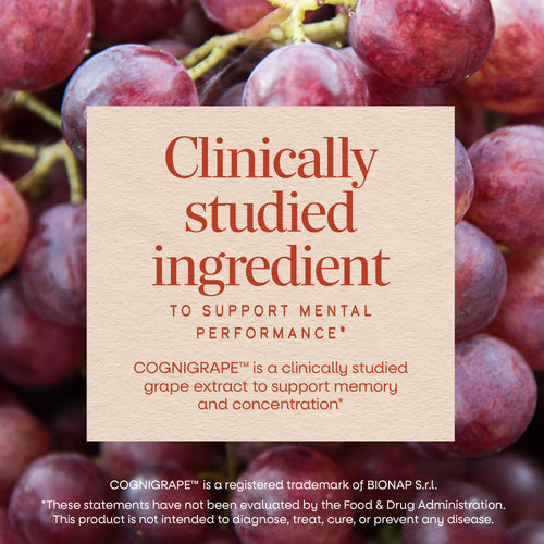 Nature's Way® | Brain Fuel Gummy Sku:14346