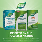 <{%MAIN5_05519%}>Nature's Way® | Cholesterol Shield