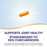 <{%MAIN2_undefined%}>Nature's Way® | Turmeric Max Potency‡