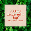 Nature's Way® | Peppermint Leaf Sku:14160
