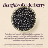 <{%MAIN3_12088%}>Nature's Way® | Sambucus Immune Lozenges