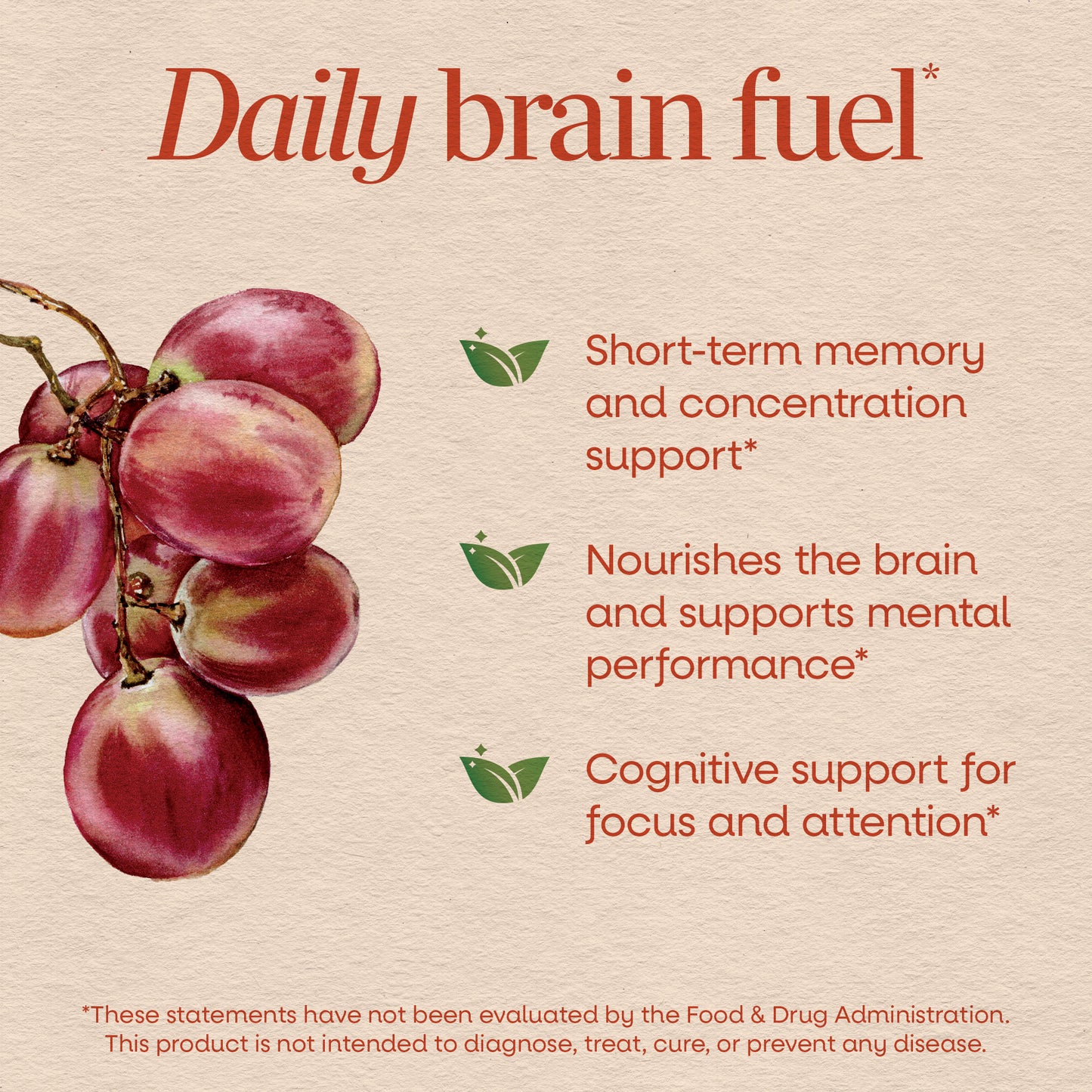 <{%MAIN2_14346%}>Nature's Way® | Brain Fuel Gummy