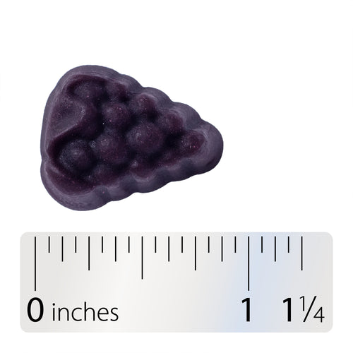 Nature's Way® | Brain Fuel Gummy - Gummy and ruler Sku:14346