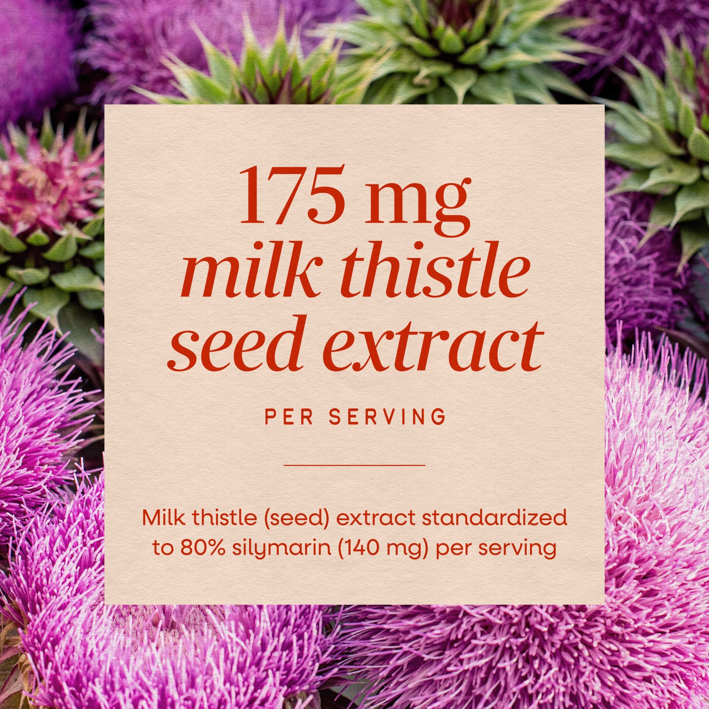 <{%MAIN3_62400%}>Nature's Way® | Milk Thistle