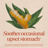 Nature's Way® | Ginger Root Sku:11926
